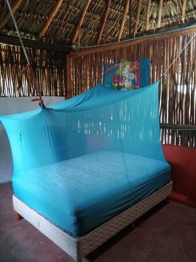 Malinche Cafe In Coba Tulum Leilighet Eksteriør bilde