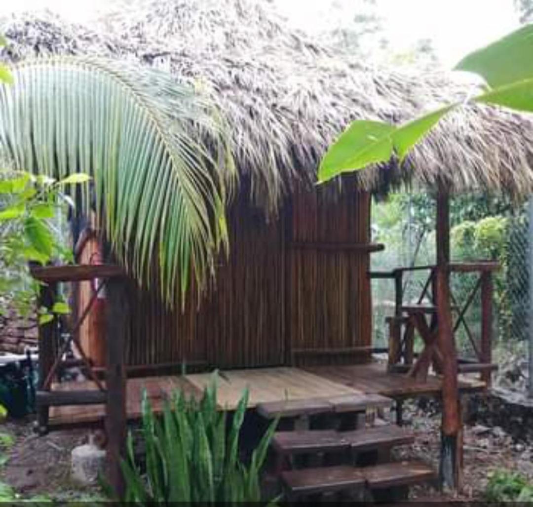 Malinche Cafe In Coba Tulum Leilighet Rom bilde